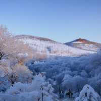 年前一定要去遼寧瀋陽棋盤山雪鄉看冰雪世界