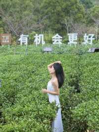 廣州週末好去處發圈被問爆的茶園山頂露營！！