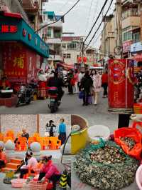 “蟳”花問“厝”---泉州的蟳埔村