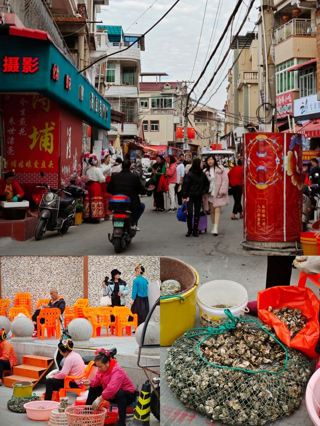 “蟳”花問“厝”---泉州的蟳埔村