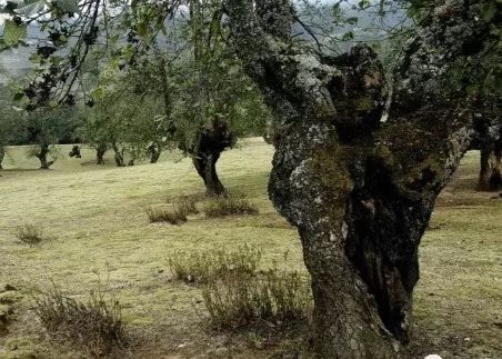 百年古韻，古道悠悠：雲縣茂蘭鎮三大村