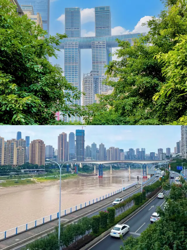 Missing you, the wind has blown to Chongqing | Chongqing tourism