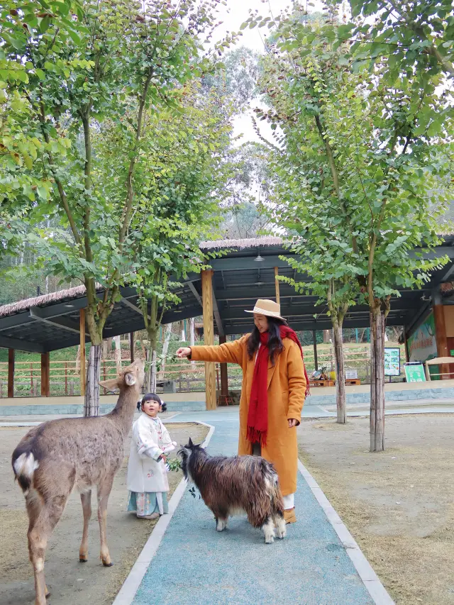 선언한다! 청두에서 아이들과 산책하기에 가장 적합한 새해 사원 축제가 여기에 있습니다!