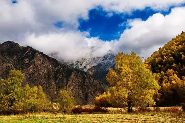 The autumnal Xianmi National Forest Park