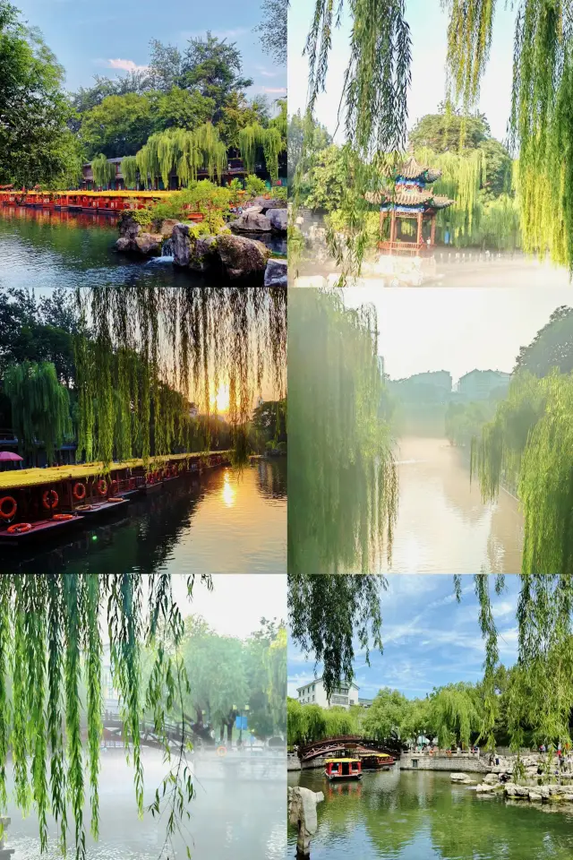 Jinan Black Tiger Spring| A place where old Jinan people go every day
