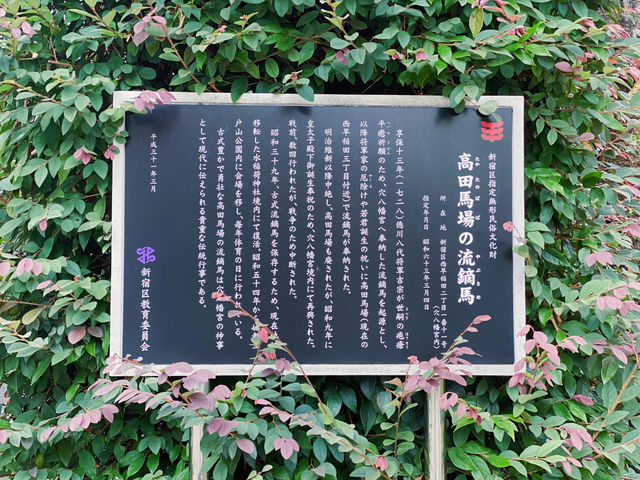 求金運UP來這裡就對啦