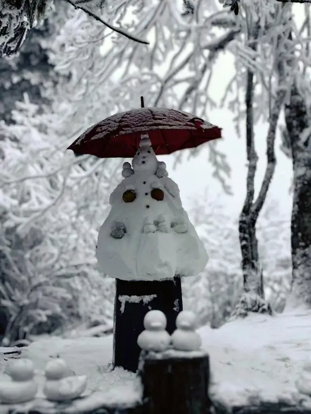 私が認めます、ここでの雪景色は唯一無二の存在です