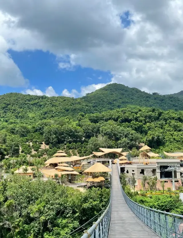 Hainan, embrace the eternal summer, explore the tropical paradise