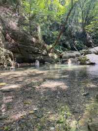 荊門大口國家森林公園湖北周邊隱藏絕美翡翠