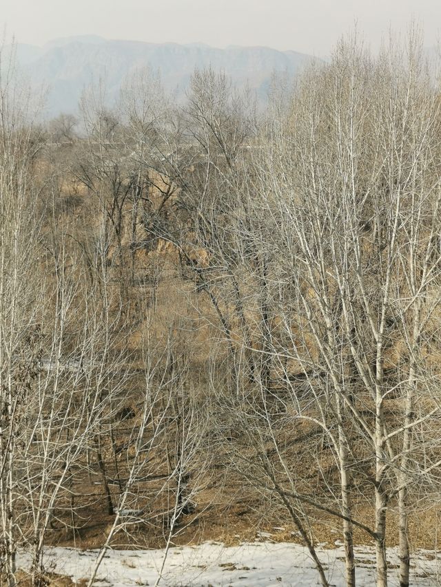 千年古村落~東閆莊村