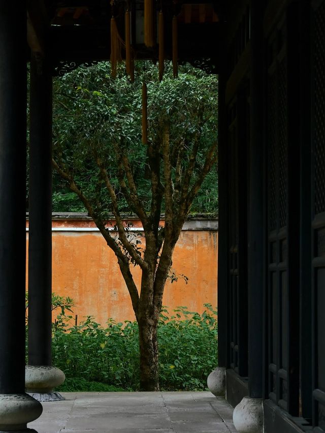 浙江旅遊｜適合歷史愛好者打卡的隋代古剎－國清寺