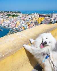 🇮🇹❤️ Best of Procida, Italy: A kaleidoscope of colors awaits! 😍