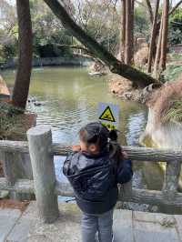 上海動物園保姆級旅遊攻略，看這篇就夠了！