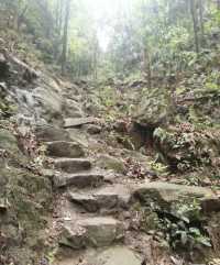 重慶南山風景區