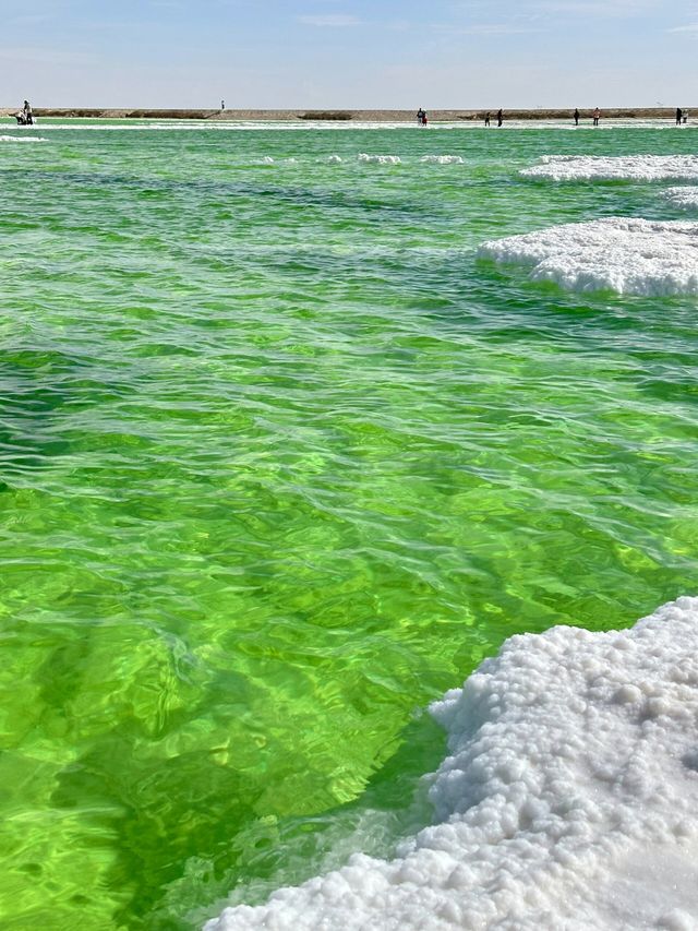 在鹽湖感受大自然的魅力！
