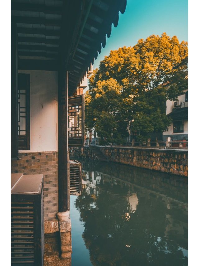 上海小眾又出片的寶藏地  ｜  羅店古鎮