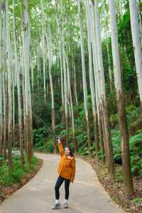 這裡人少！30分鐘登頂的“藍眼淚”廣州天池仙境