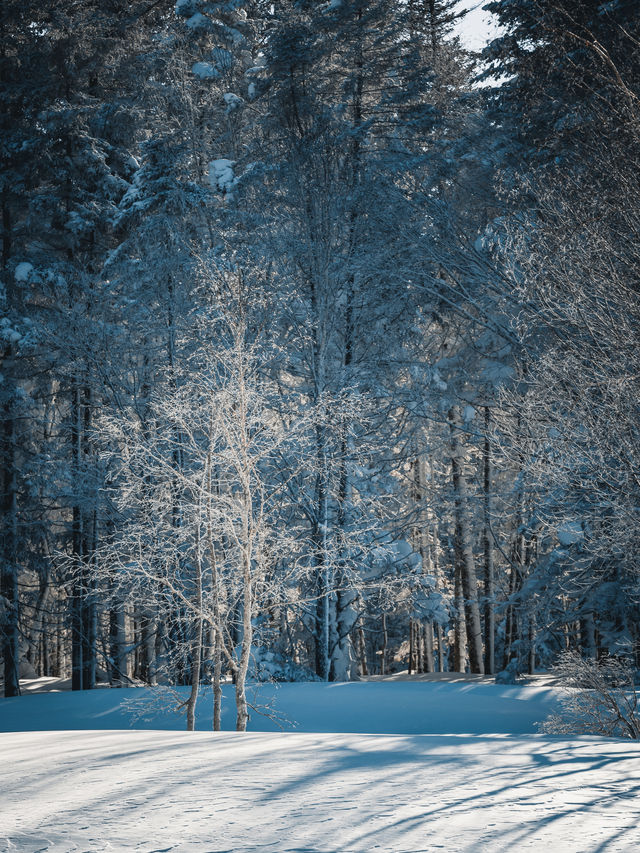 雪地徒步｜老里克湖滿足了我對冰雪童話幻想