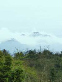 成都近郊｜正到鹤鸣山最美時（附玩法）