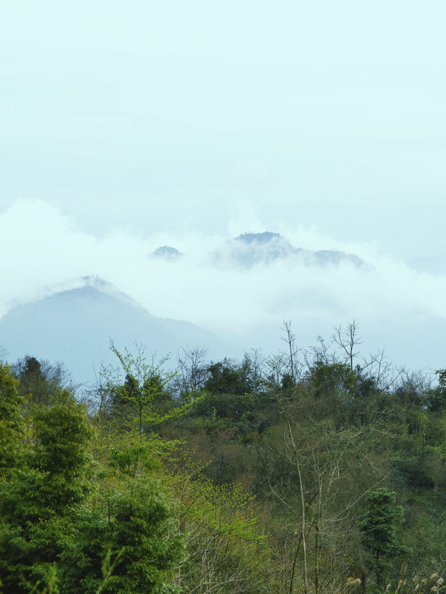 成都近郊｜正到鹤鸣山最美時（附玩法）