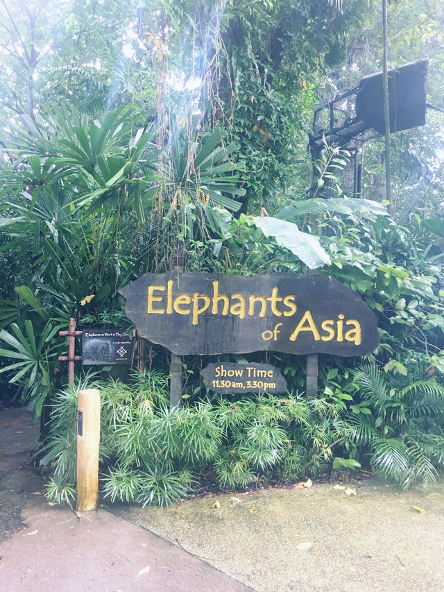 新加坡｜動物園