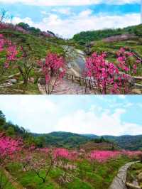 寧鄉｜你玩得可真花啊！東鹜山桃花谷自駕賞花指南