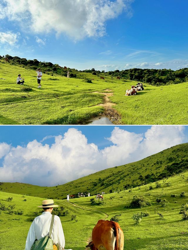 福建不僅有海島，還有福建版小瑞士