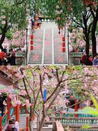 春遊記 | 廣州3-4月，一定要去一次