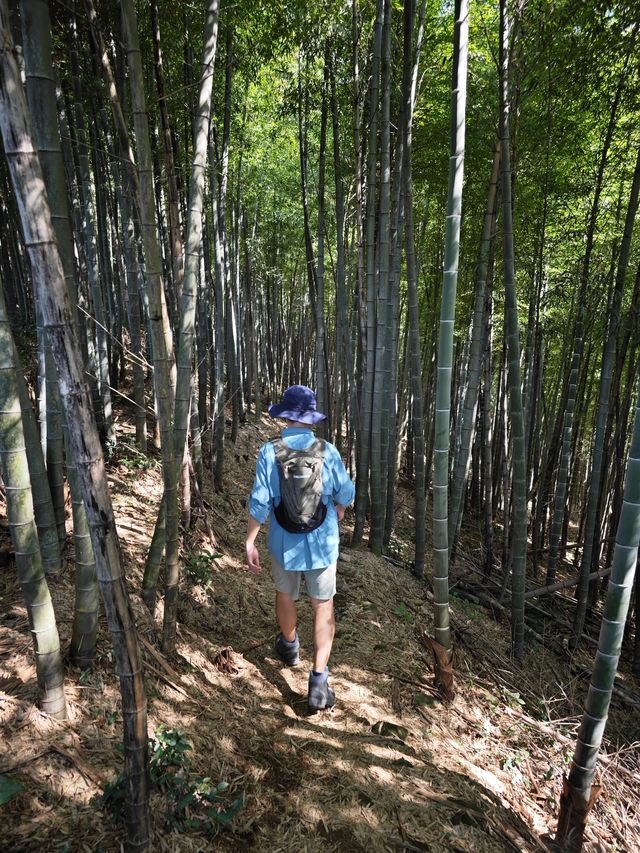 秋日，來莫干山徒步吧