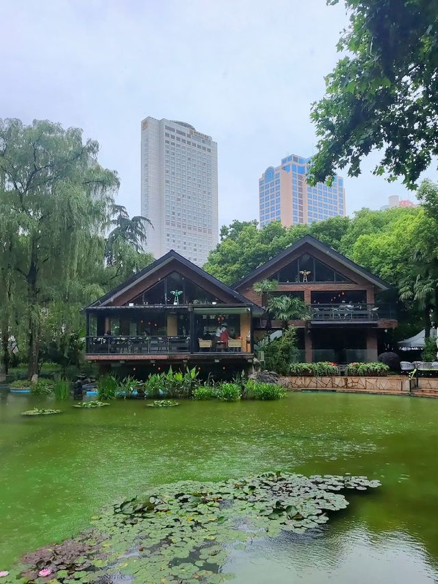 靜安公園：園外是熱鬧的都市商圈，園內則是靜謐的綠色天地