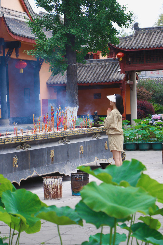 成都1小時竟藏著吳哥窟，朋友圈以為我出國了問瘋