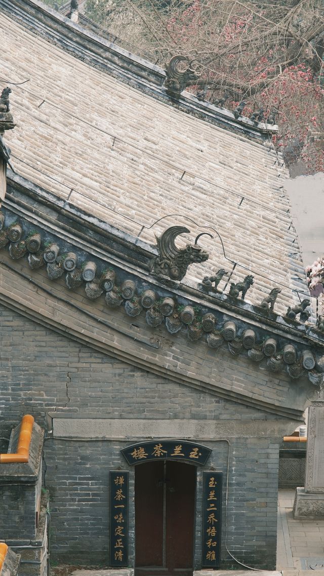 潭柘寺|北京1700年古剎