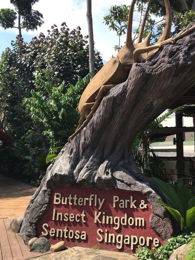 “翩翩蝶舞，昆蟲奇境”——新加坡蝴蝶公園與昆蟲王國
