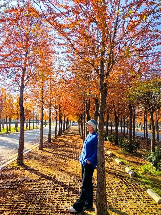 The Laoyuhe Wetland Park is a place with few people and beautiful scenery