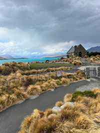 新西蘭plog｜特卡波湖+普卡基湖