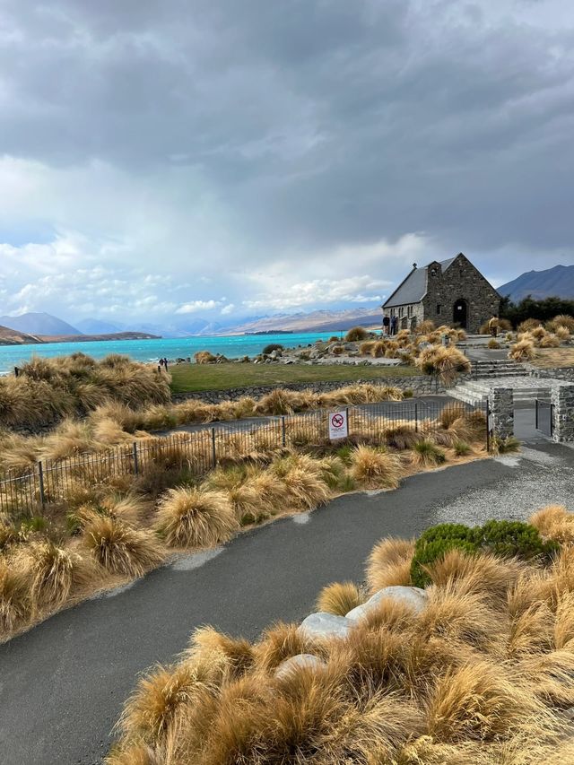 新西蘭plog｜特卡波湖+普卡基湖