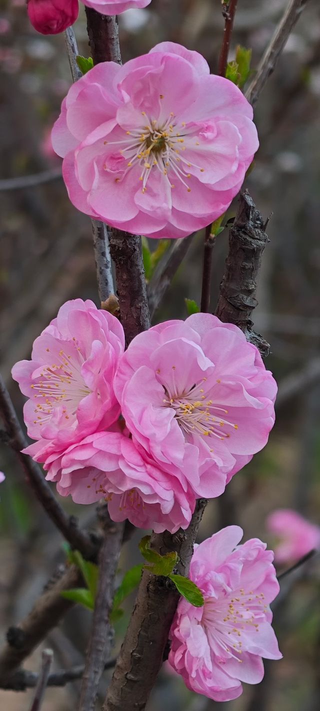 浮山公園越來越美咯