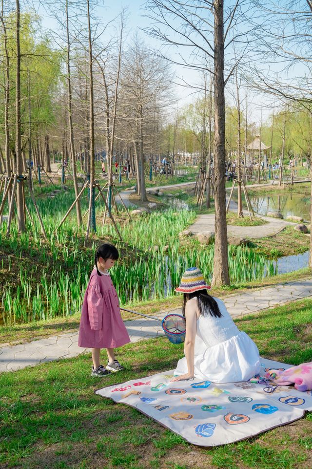 春遊記小眾白沙灘、抓蝌蚪、賞花的濕地公園 春遊記小眾白沙灘、抓蝌蚪、賞花的濕地公園