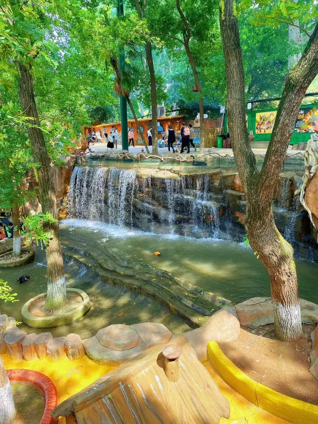 Wuhan East Lake Bird World is a great place to take kids out on weekends