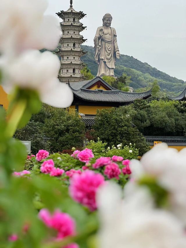 無錫靈山大佛，一生必遊之地