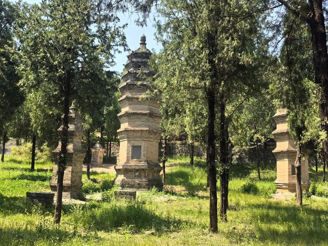 世界文化遺產塔林-登封市嵩山少林寺景區