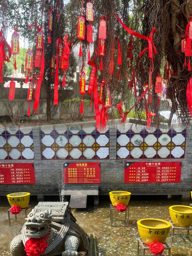 肇慶鼎湖山：廣東四大名山之首，吸氧聖地