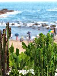 夏日海島遊記  邂逅浪漫的雙灣雙海