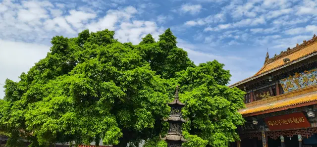 Zhaojue Temple is located at No