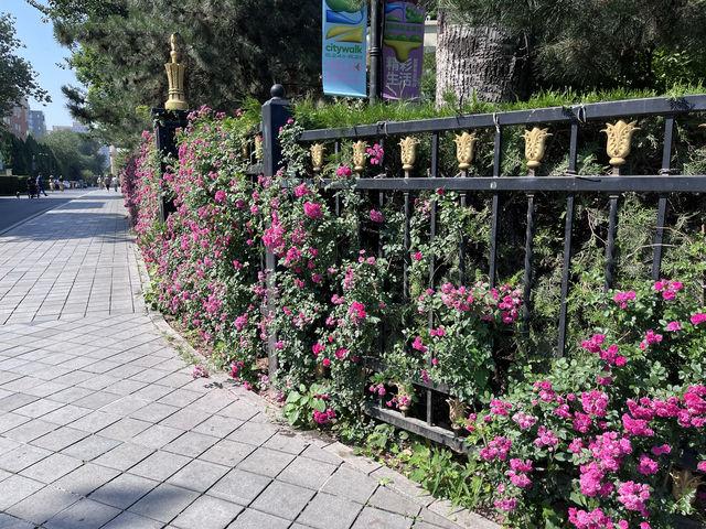 北京展覽館的生活節啟動了