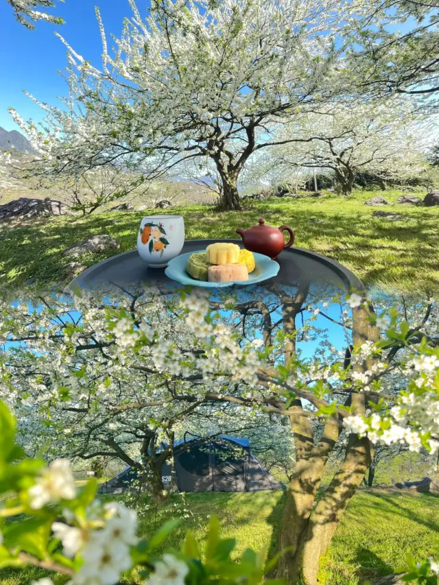 Wow, camping under a sea of flowers is simply the pinnacle of beauty