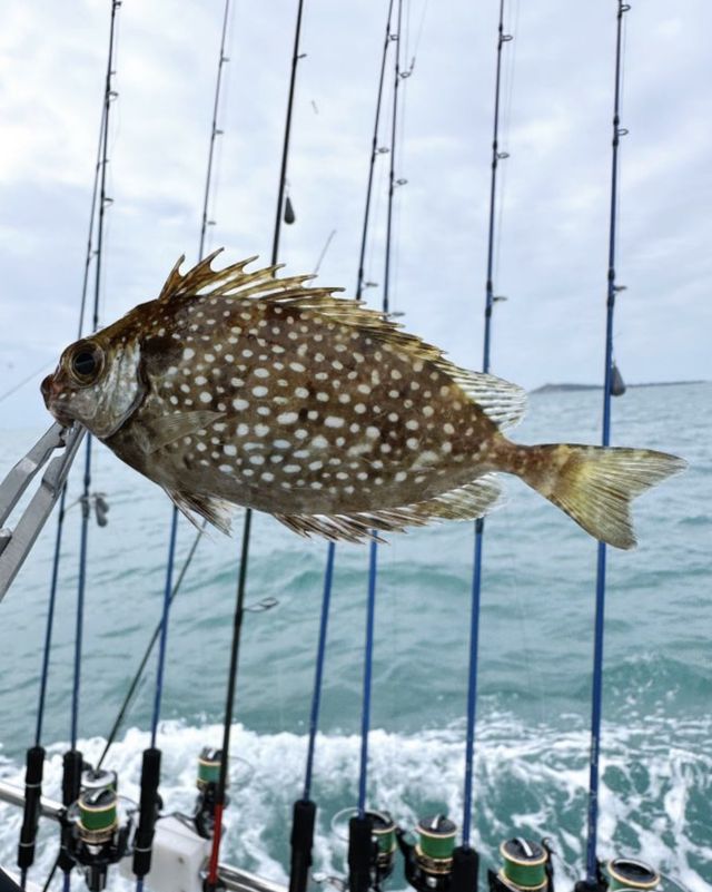 海釣樂趣與自然風情的美妙碰撞