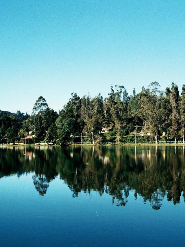 🌟 Kodaikanal's Cozy Carlton: Comfort & Views! 🏞️