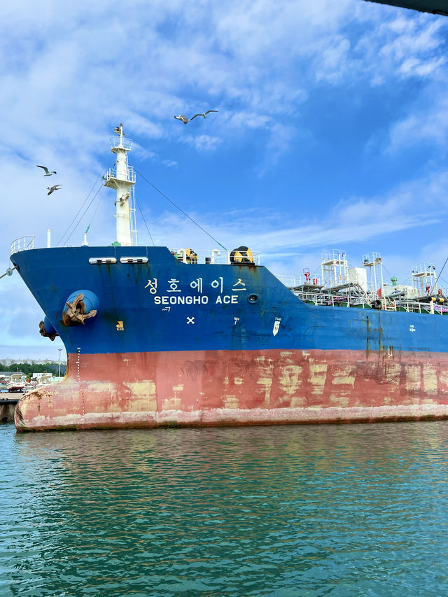 海獺島太美了不愧是海鷗的王國