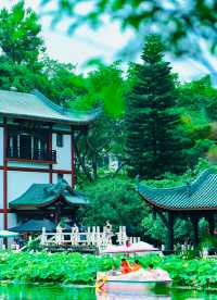 Citywalk|成都必打卡寶藏公園--新都桂湖